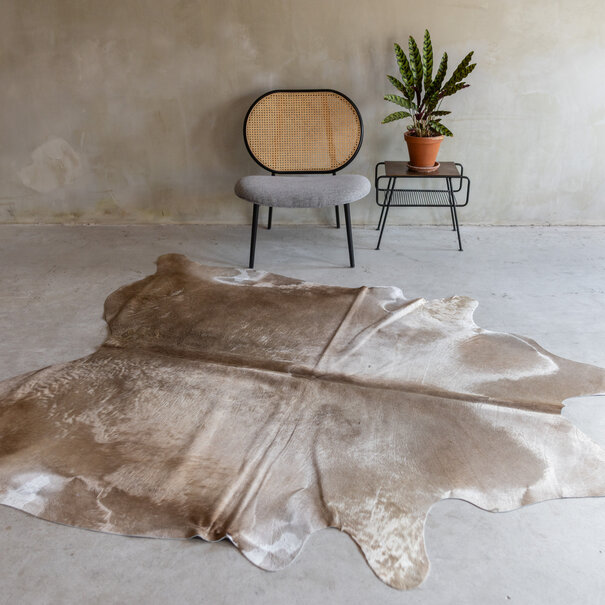 Van Buren seit 1861 Einzeln fotografiertes champagnefarbenes Kuhfell KH-062 mit einer Größe von ca 230x188 cm (3-4m²)