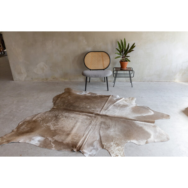 Van Buren seit 1861 Einzeln fotografiertes champagnefarbenes Kuhfell KH-062 mit einer Größe von ca 230x188 cm (3-4m²)