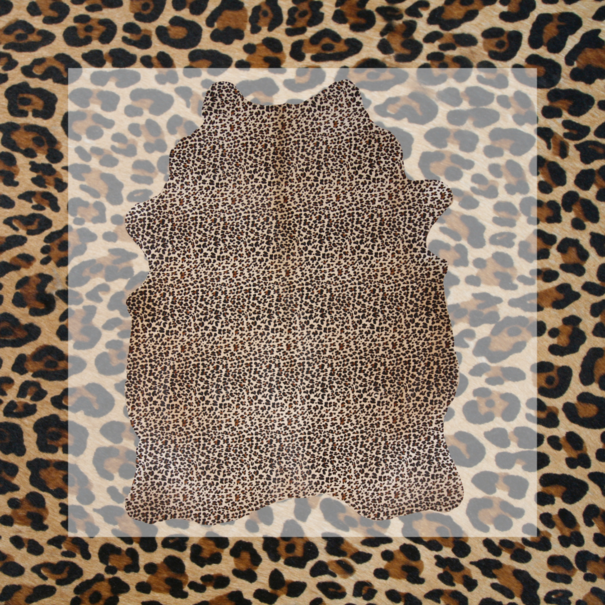 Van Buren seit 1861 Kuhfell mit Zebraprint