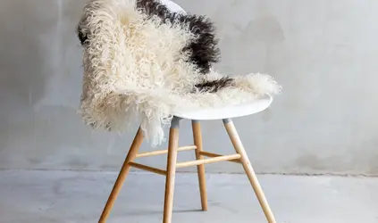 Kann man Lammfell mit Wollwaschmittel waschen?