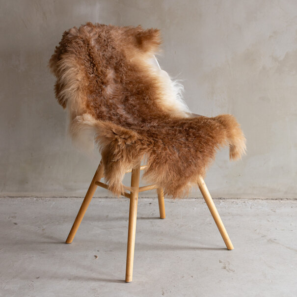 Van Buren seit 1861 Tibet Lammfell Bunt - SVV-949 - 110x62cm