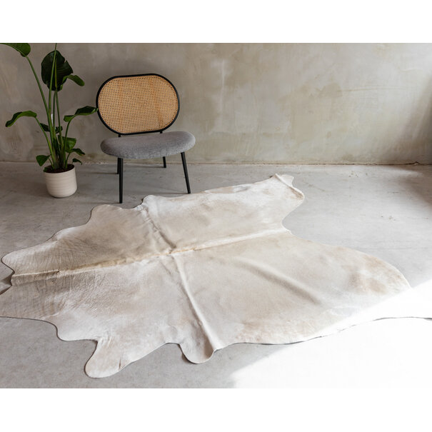 Van Buren seit 1861 Kuhfell Champagne - GR1 - 205x178 cm - KH-097
