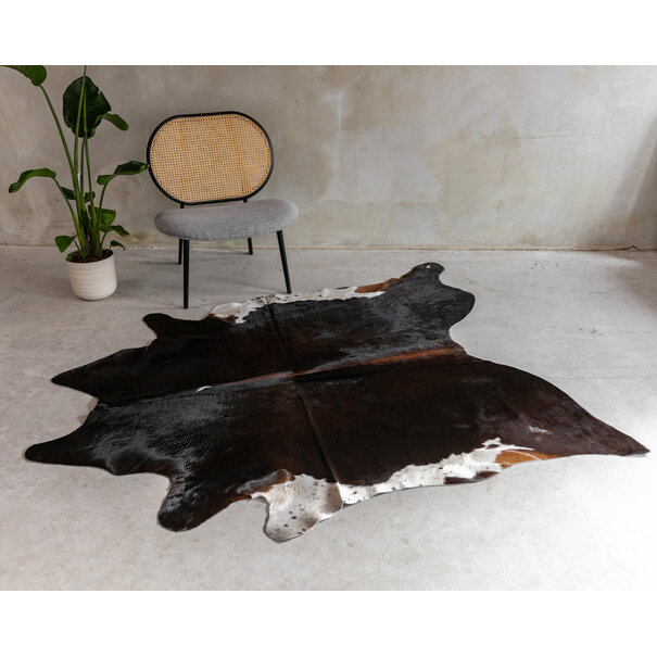 Van Buren seit 1861 Kuhfell Assortiert - GR2 - 170x165 cm - KH-103