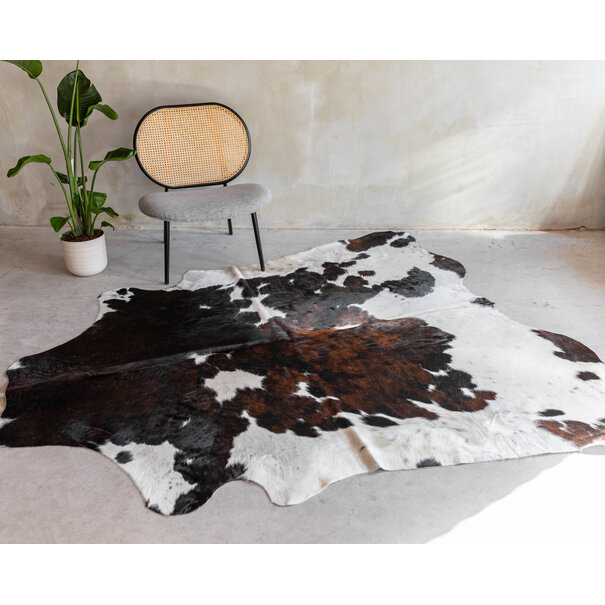Van Buren seit 1861 Kuhfell Dreifarbig - GR1 - 225x185 cm - KH-085