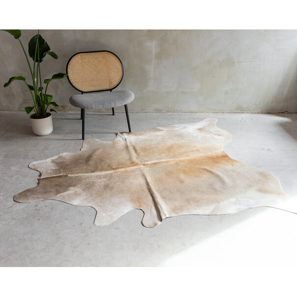 Van Buren seit 1861 Kuhfell Champagne - GR1 - 190x164 cm - KH-094