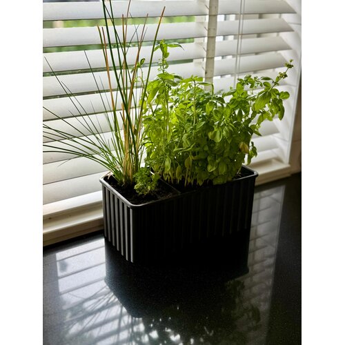 IndoorGarden – Luxe kruidengroeibak voor binnen IndoorGarden – Luxe kruidengroeibak voor binnen