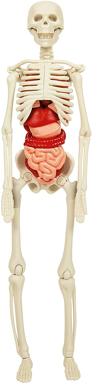 Clementoni De Grote Wetenschapset