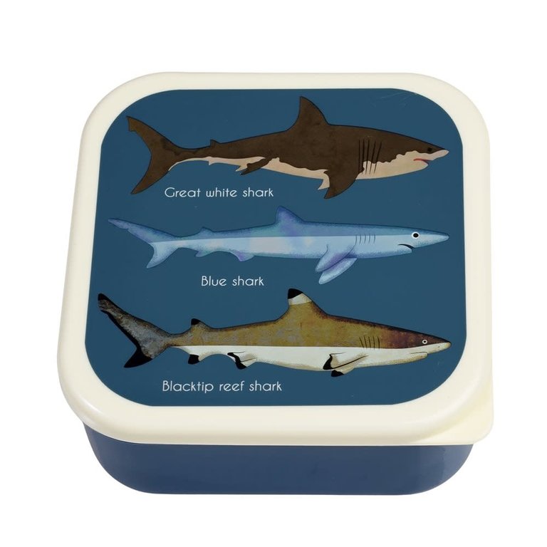 rex london Rex London -SHARKS SNACK BOXES (SET OF 3)