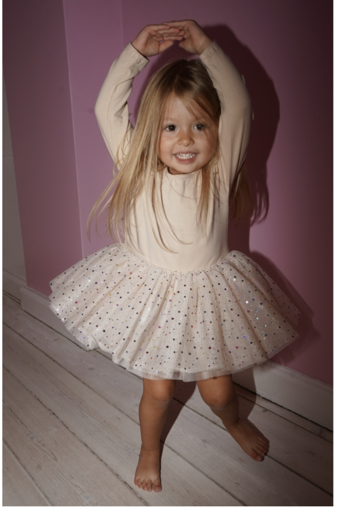 Konges Sløjd Konges slojd - Fairy ballerina dress multi rose