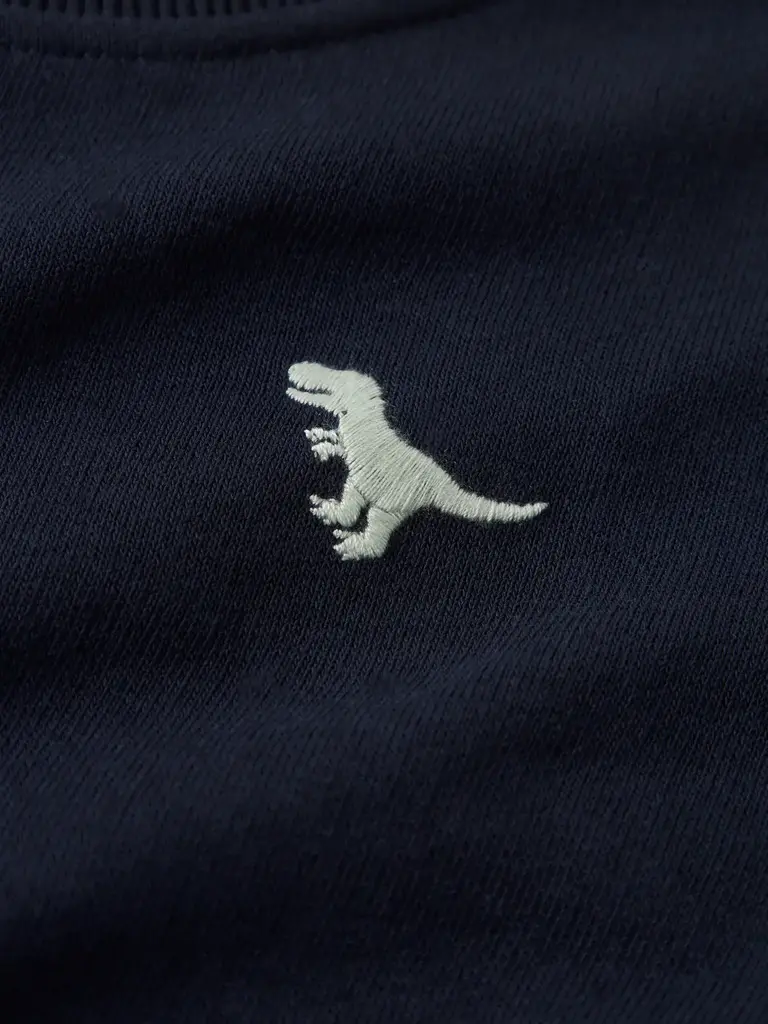 Name It Name it - Vallen sweater Dino