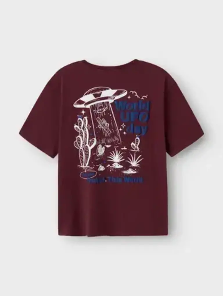 Name It Name it - Karlo T-shirt Fig