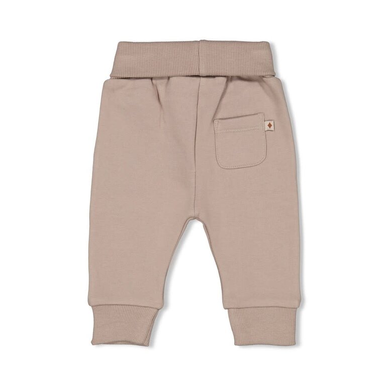 Feetje Feetje - broek wild world grijs