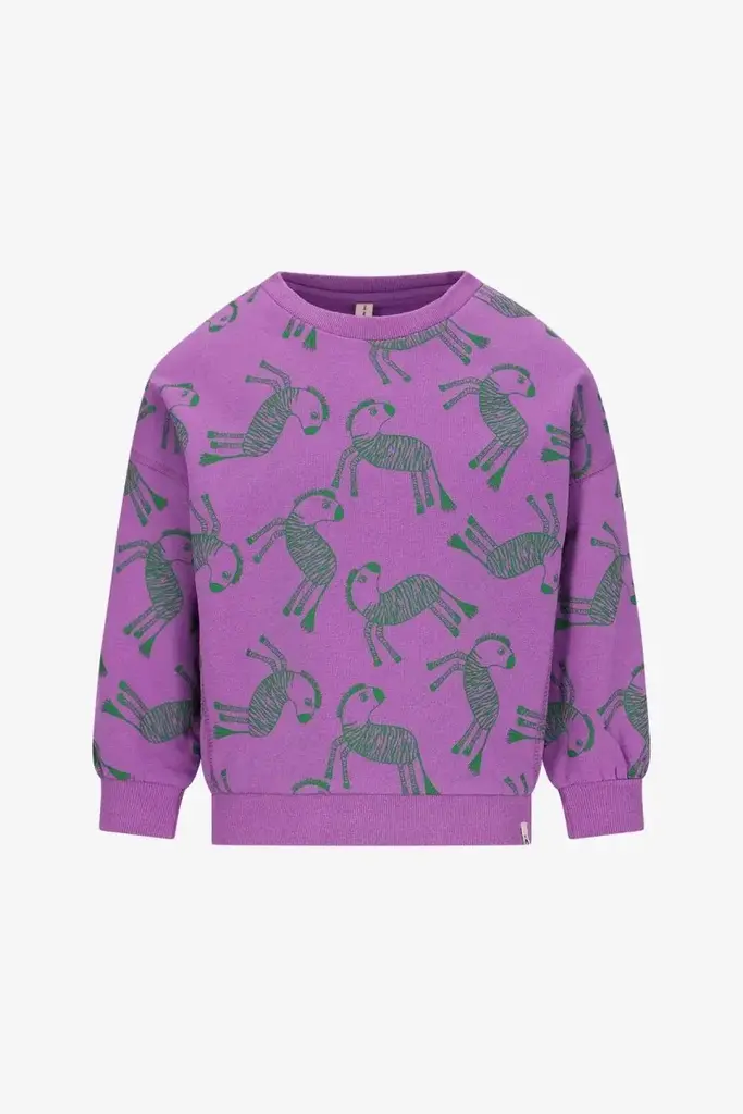 The New Chapter the new chapter - bobbie zebra