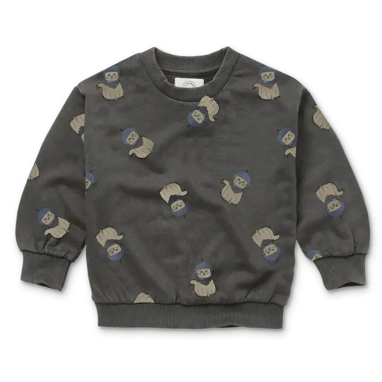 Sproet & Sprout Sproet&Sprout -SWEATSHIRT SPACE CAT PRINT