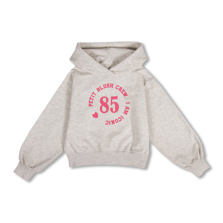 petit blush Petit blush -Hooded Sweater Grey melange
