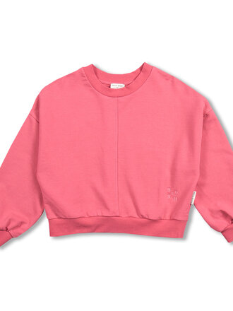 petit blush Petit Blush -Luca Sweater Iconic Fruit Dove