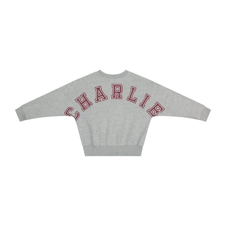 charlie petite Charlie petite - jones sweater Grey Charlie