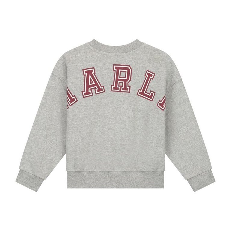 charlie petite Charlie petite - jones sweater Grey Charlie