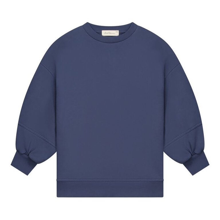 charlie petite Charlie petite Nada Sweater Dress  Blue