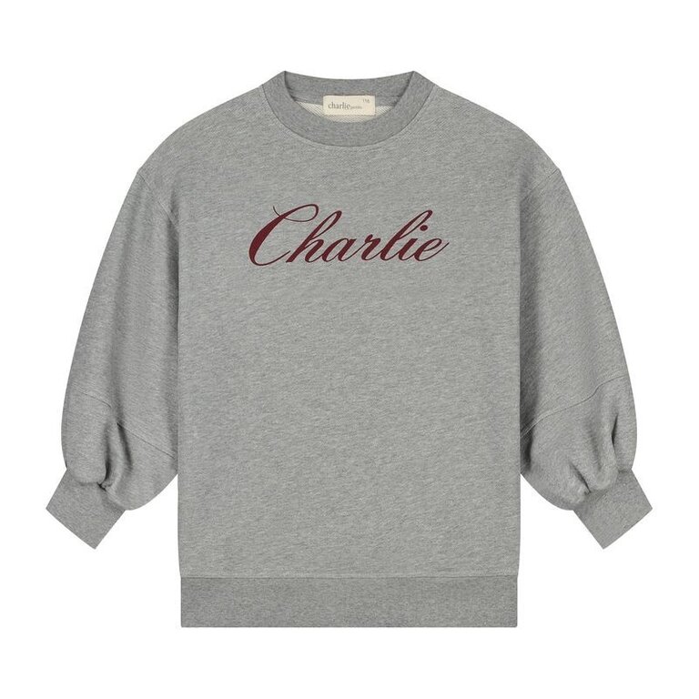 charlie petite Charlie petite Nada Sweater Dress  Grey
