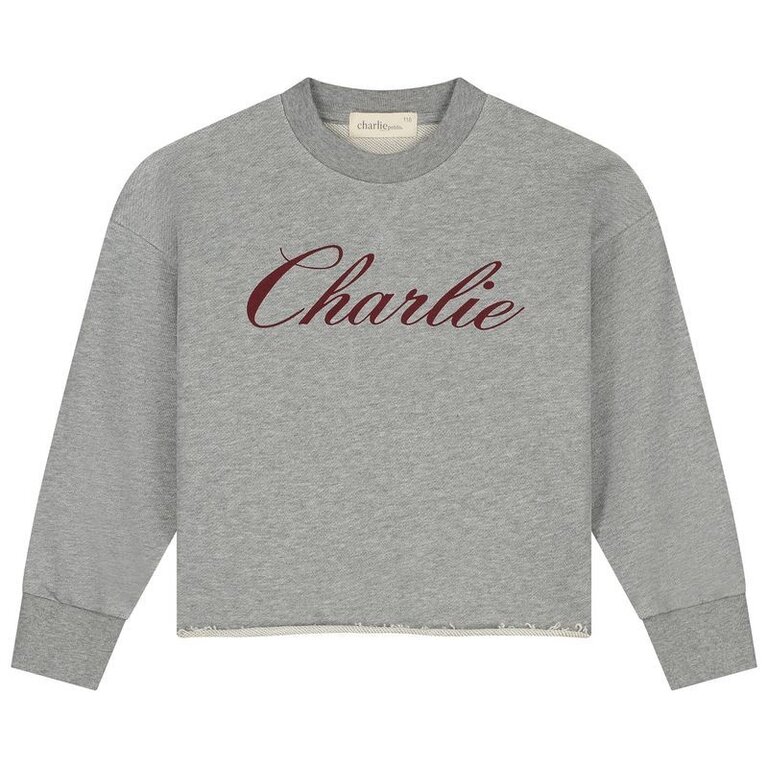 charlie petite Charlie petite - Lux sweater Grey melange