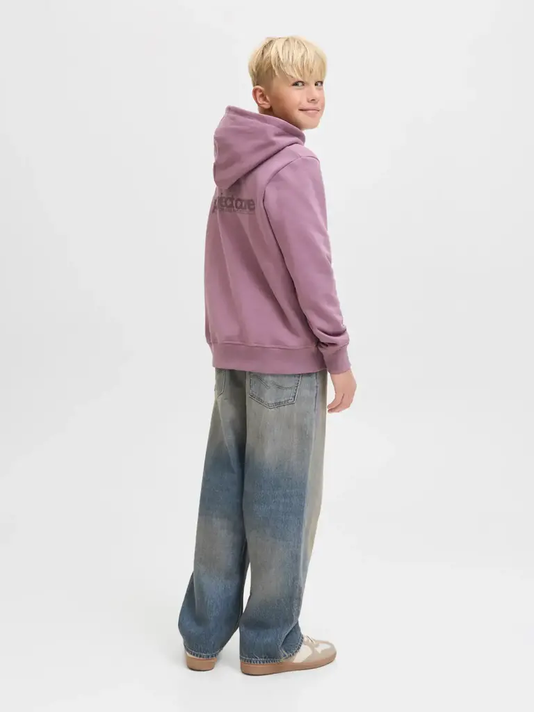 jack&jones Jack & Jones - Alex Denim Blue Denim