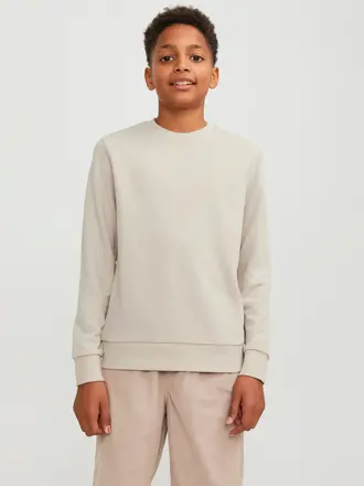 jack&jones Jack & Jones - Bradley sweat crew moonbeam