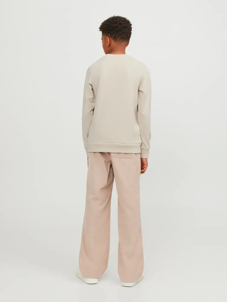 jack&jones Jack & Jones - Bradley sweat crew moonbeam