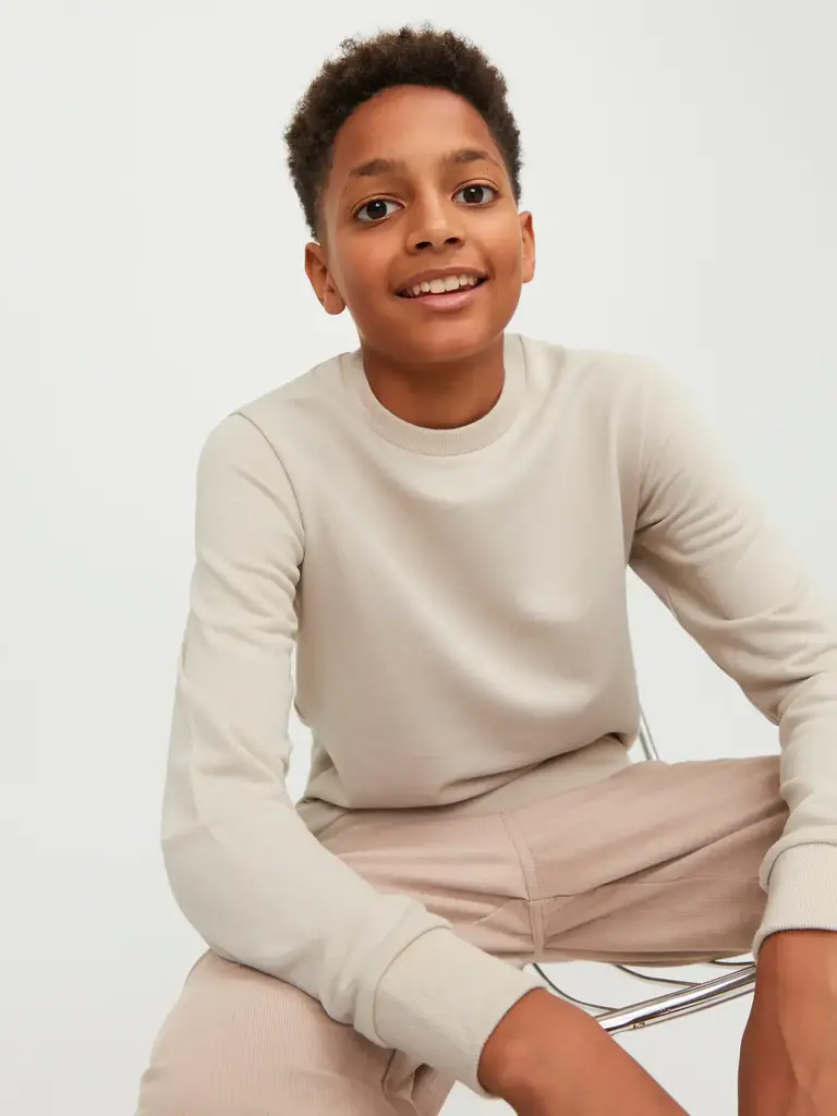 jack&jones Jack & Jones - Bradley sweat crew moonbeam