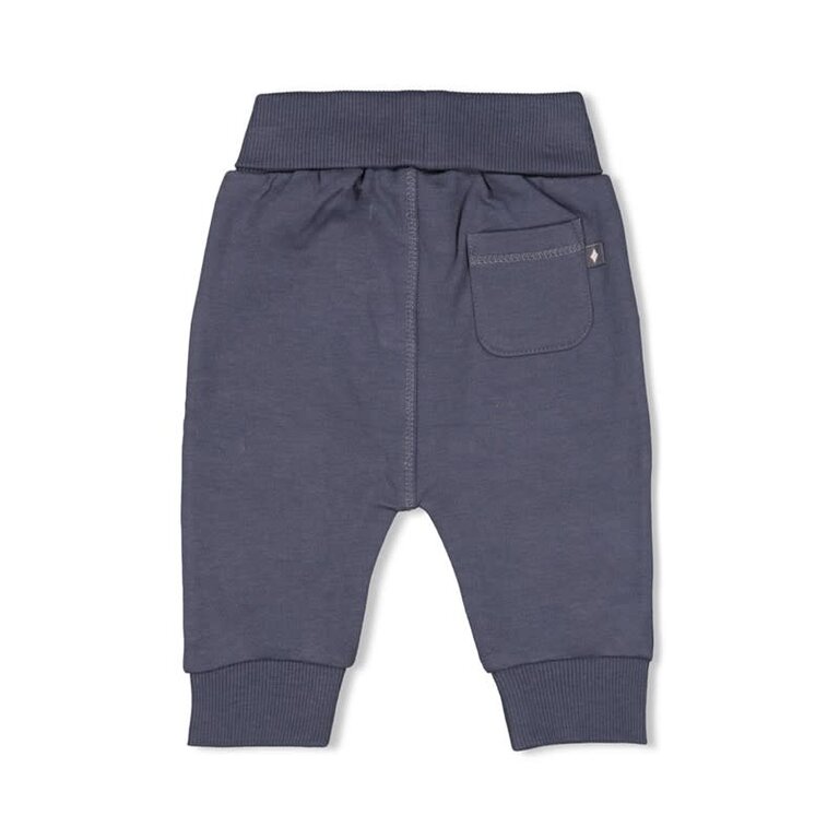 Feetje Feetje - Broek Narwal blauwgrijs