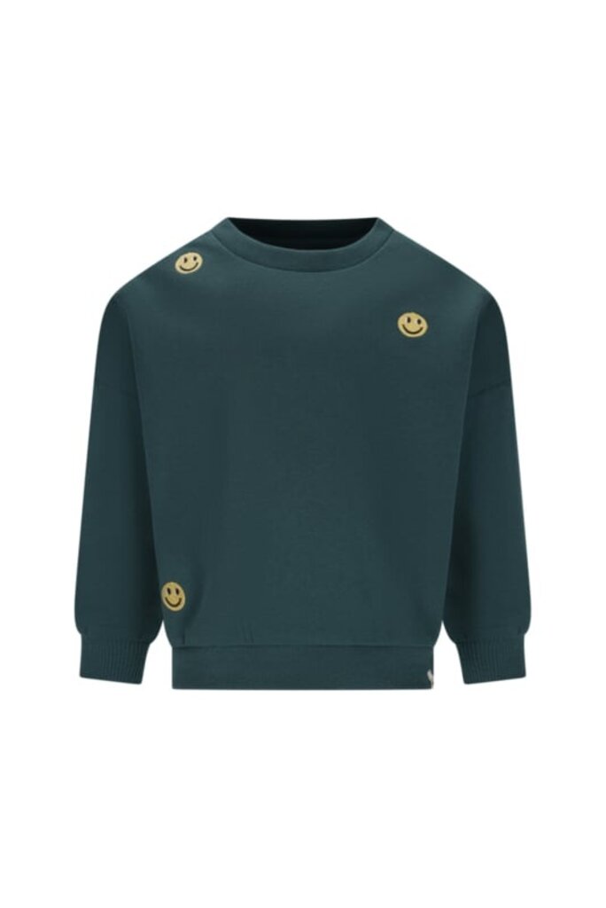 The New Chapter the new chapter - bille sweater green smiley