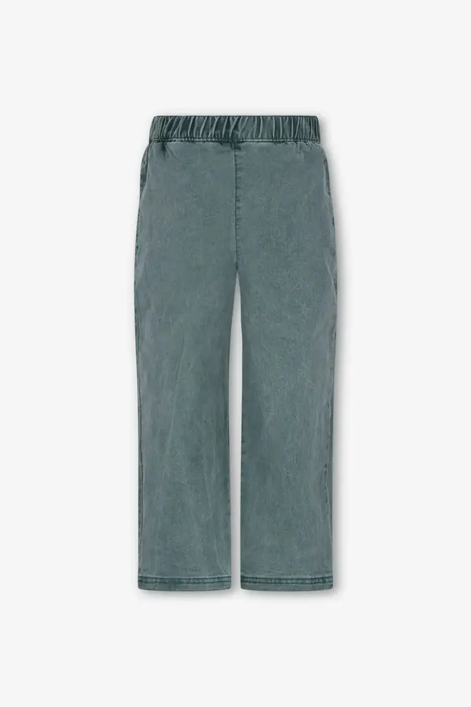 The New Chapter The new chapter -  Denim pants green