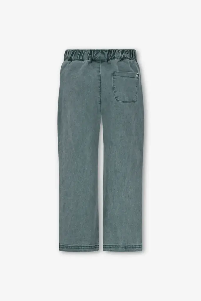 The New Chapter The new chapter -  Denim pants green