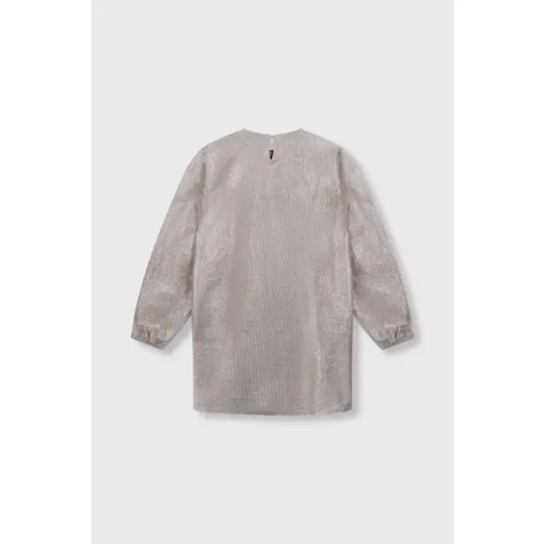 Alix the label Alix mini - silver dress