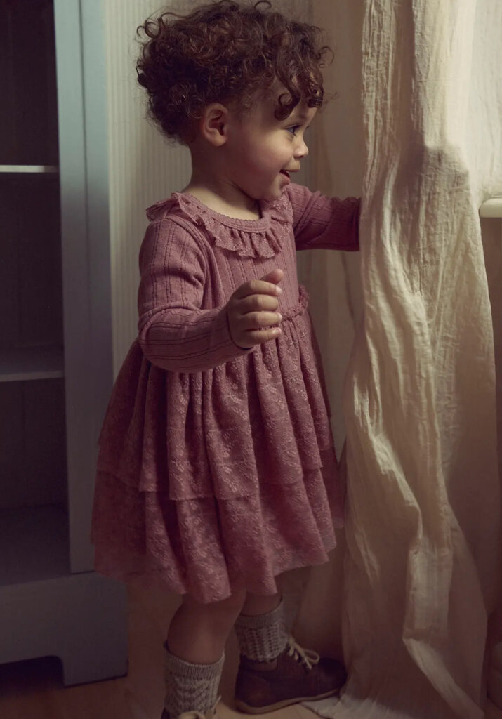 Lil' Atelier Lil atelier - Baby dress Nostalgia Rose