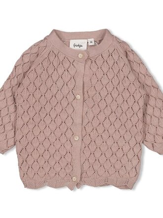 Feetje Feetje - vestje gebreid rose