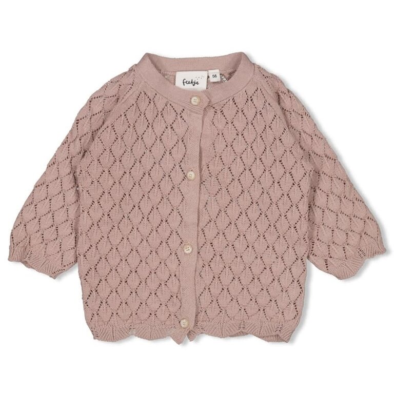 Feetje Feetje - vestje gebreid rose