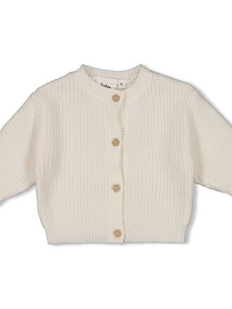 Feetje Feetje - vestje gebreid offwhite