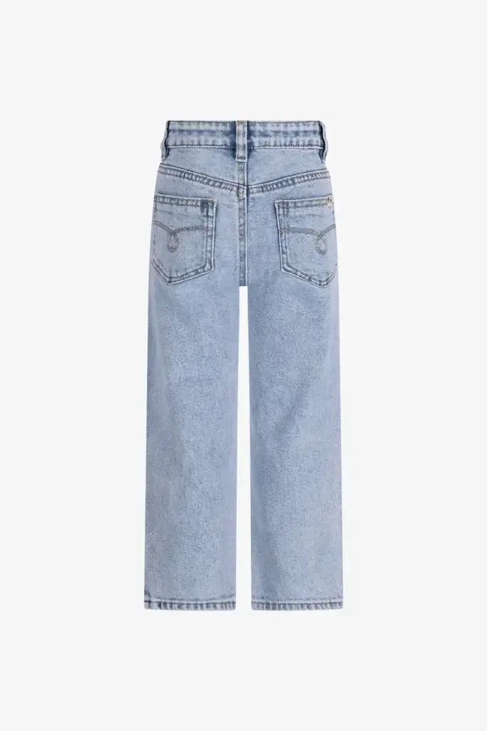The New Chapter RILEY DENIM BROEK LIGHT DENIM