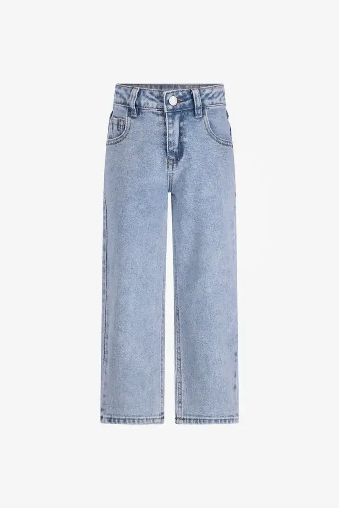 The New Chapter RILEY DENIM BROEK LIGHT DENIM