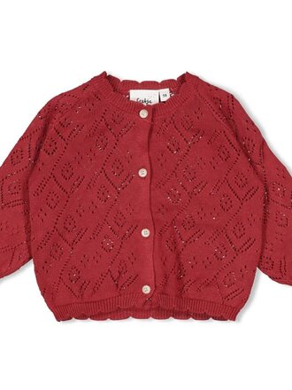 Feetje Feetje - vestje berry gebreid