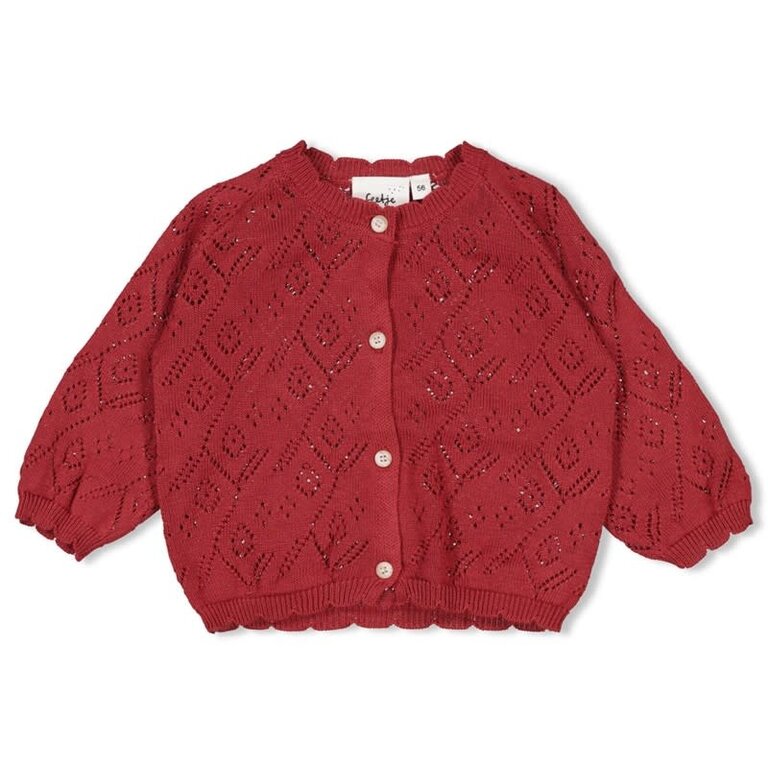 Feetje Feetje - vestje berry gebreid