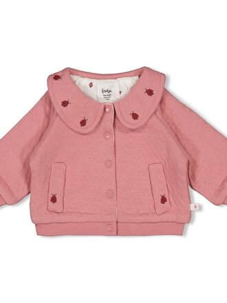 Feetje Feetje - jasje ladybug