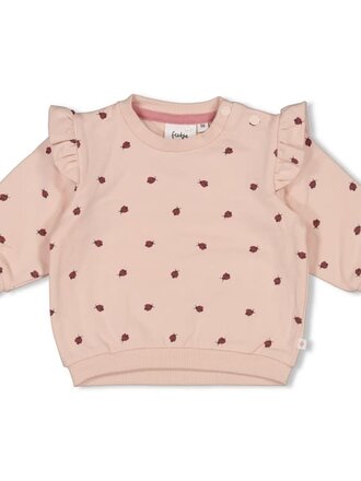 Feetje Feetje - sweater lichtroze ladybug