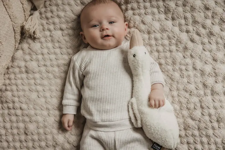 flowamsterdam Liva (beige) - Rechargeable heartbeat comforter