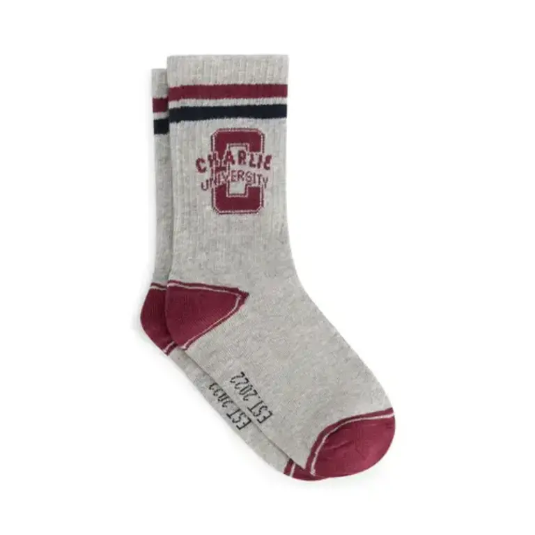 charlie petite Charlie petite - Phebe Socks grey