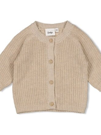 Feetje Feetje - vestje gebreid bruin