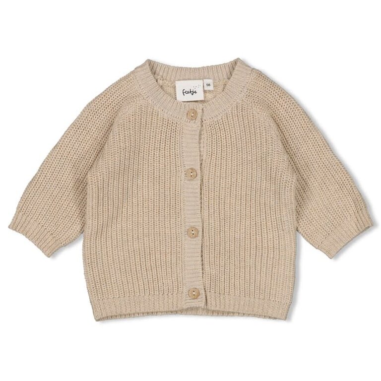 Feetje Feetje - vestje gebreid bruin