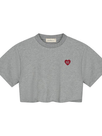 charlie petite Charlie petite - Sanne T-Shirt grey