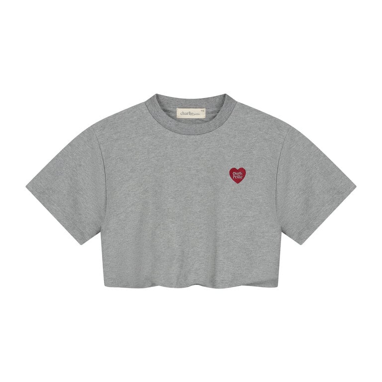 charlie petite Charlie petite - Sanne T-Shirt grey